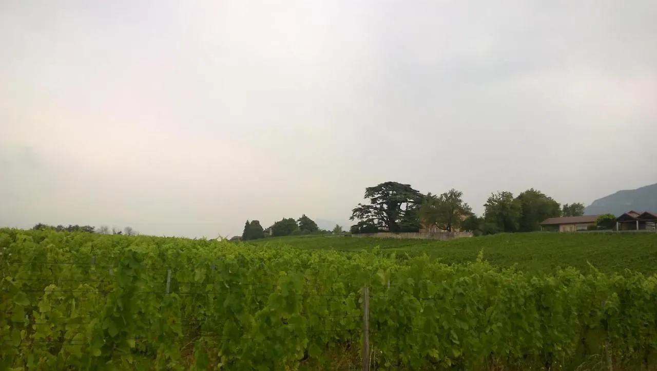 Chateau La Violette Les Marches Francia